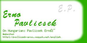 erno pavlicsek business card